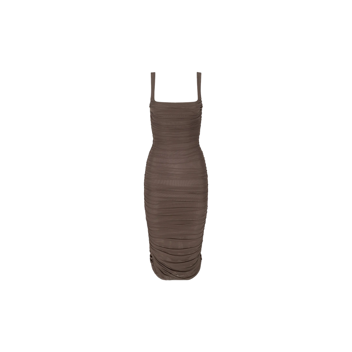 Dark Cardamom