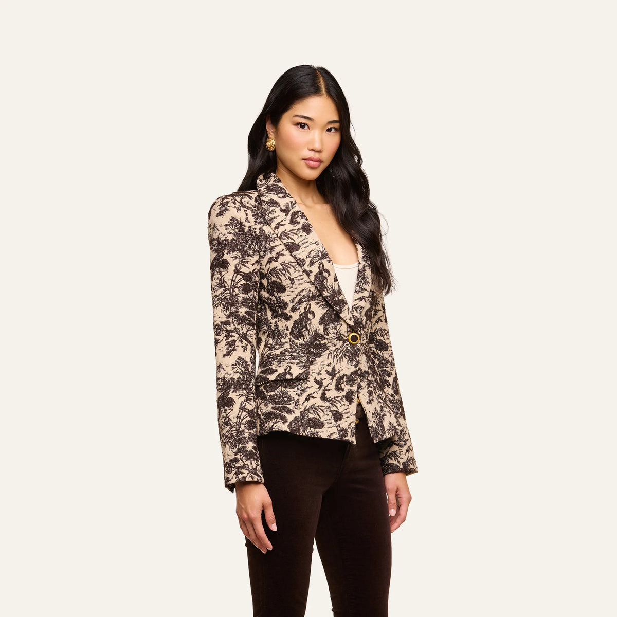 Brown/Beige Toile