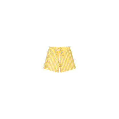 Dandelion/White Stripe
