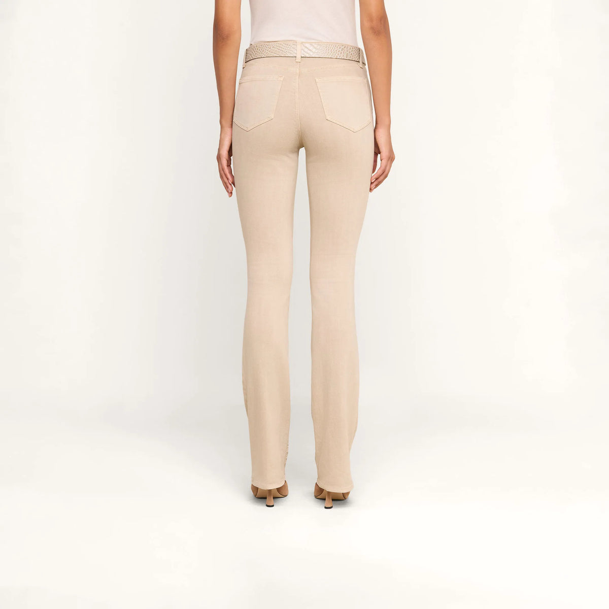 Biscuit