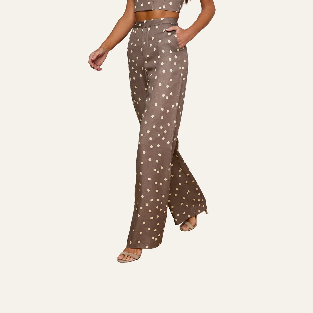 Cardamom/Ecru Polka Dot