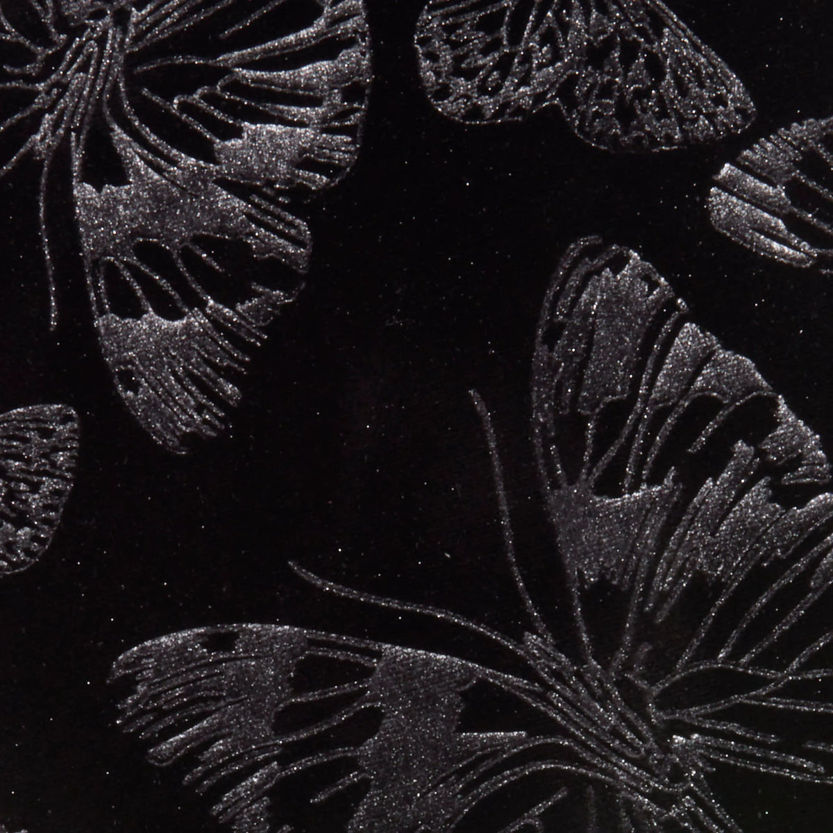 Black Butterfly