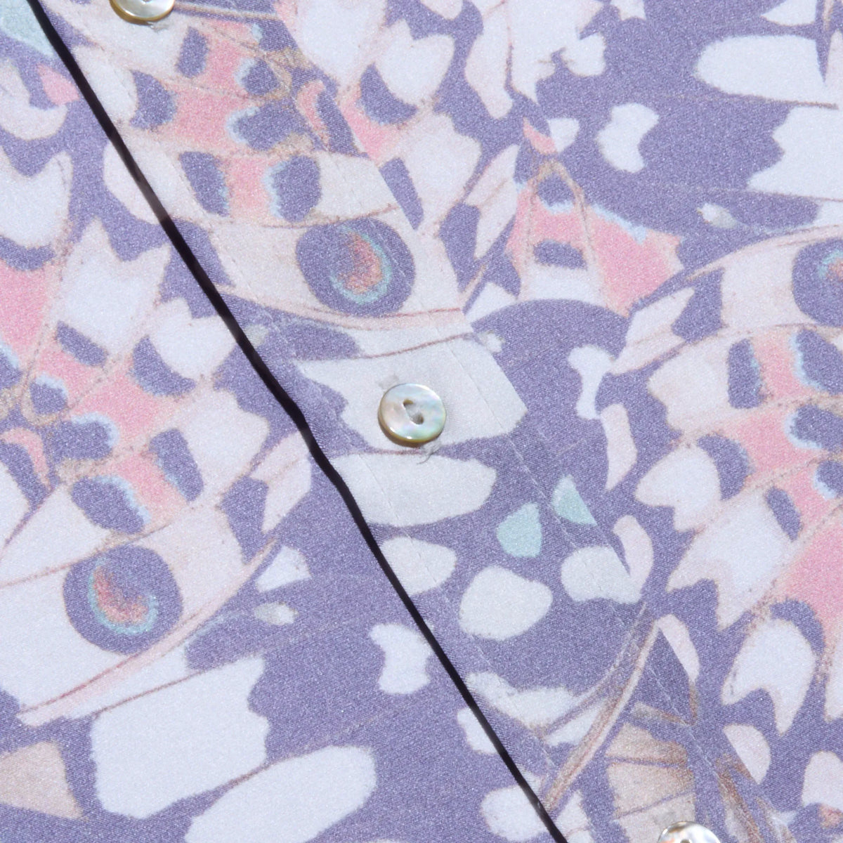 Multi Small Butterfly Wing