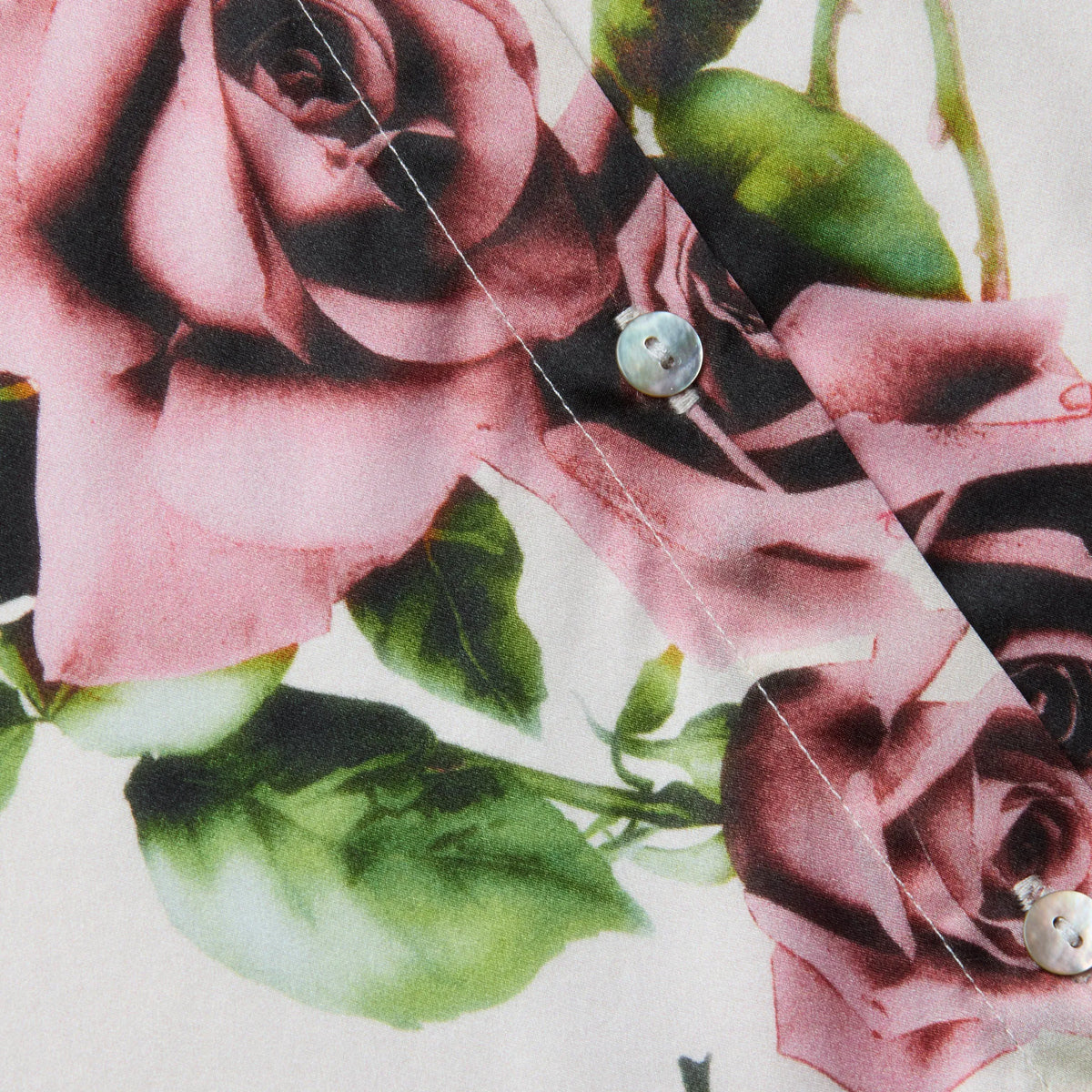 Ecru/Mauve Romantic Rose