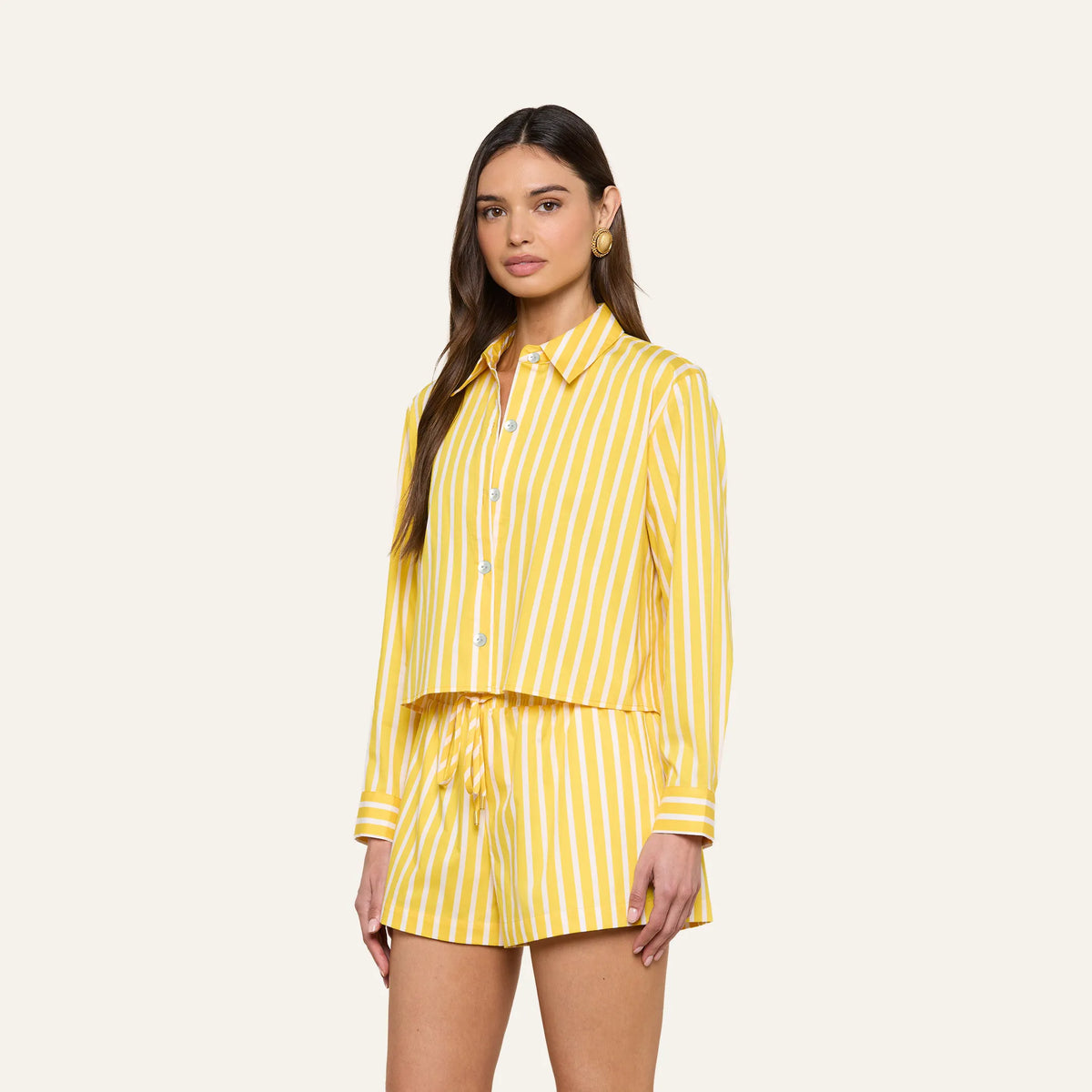Dandelion/White Stripe