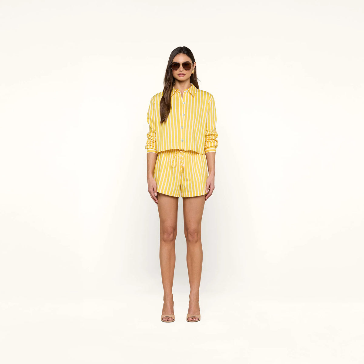 Dandelion/White Stripe