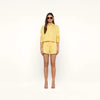 Dandelion/White Stripe