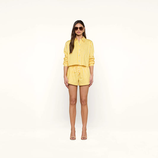 Dandelion/White Stripe