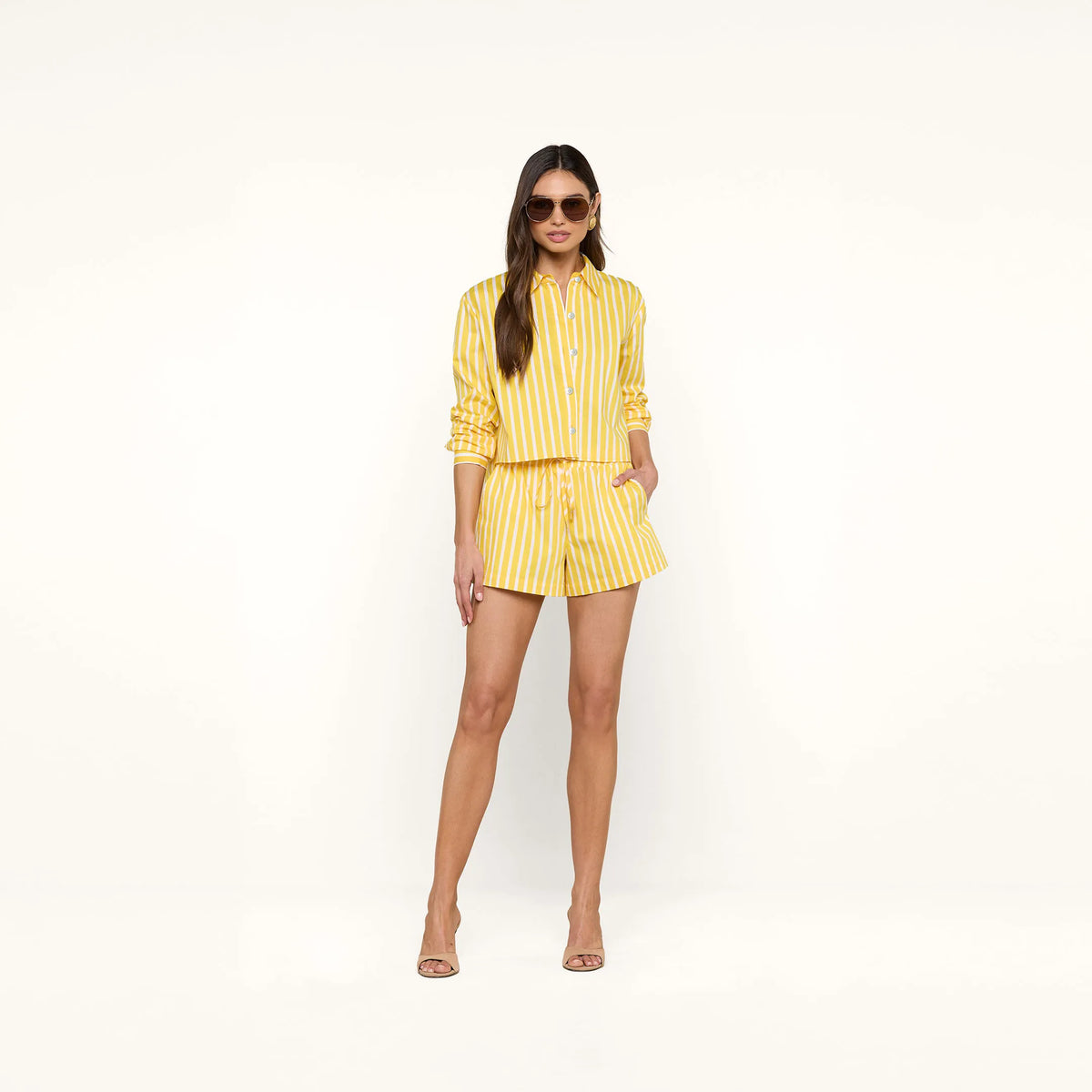 Dandelion/White Stripe