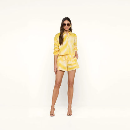 Dandelion/White Stripe