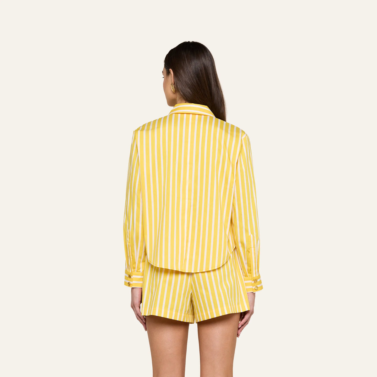 Dandelion/White Stripe