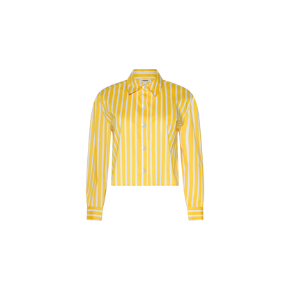 Dandelion/White Stripe