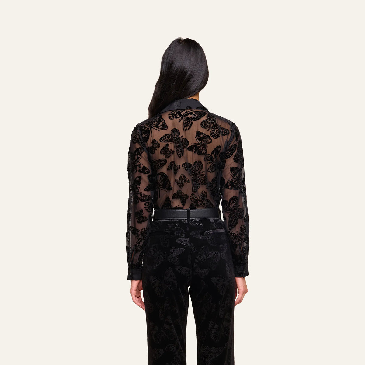 Black Butterfly