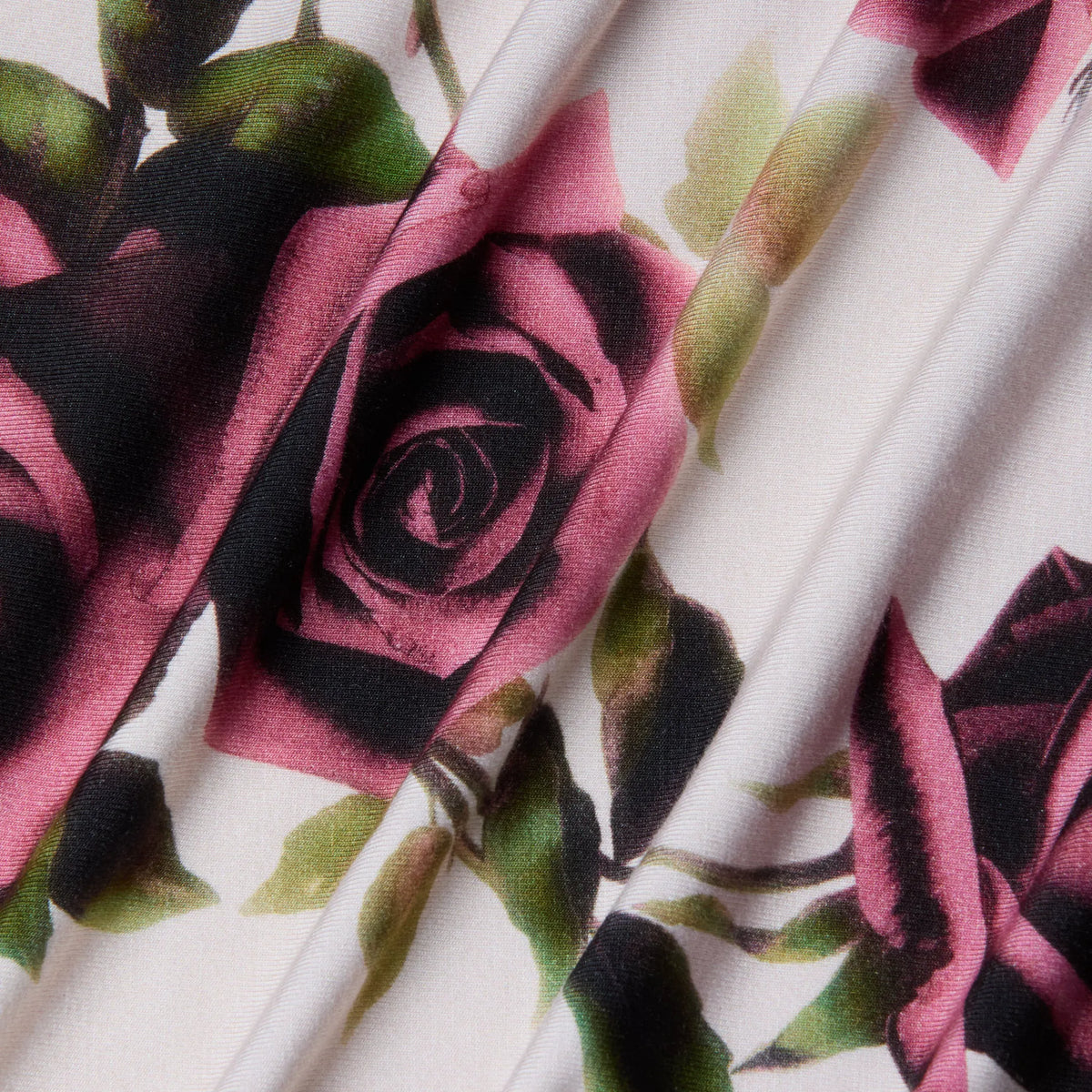 Ecru/Mauve Romantic Rose