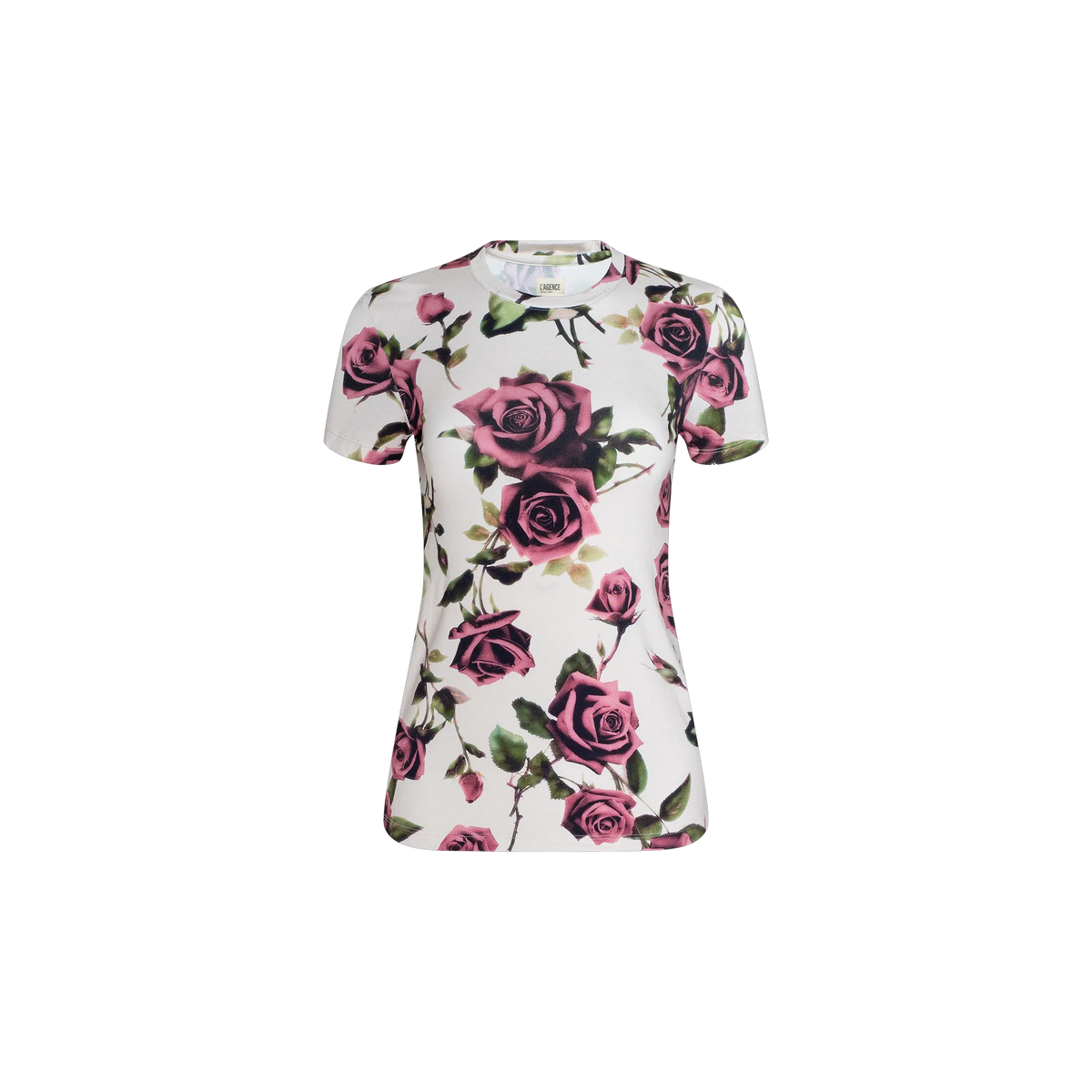 Ecru/Mauve Romantic Rose