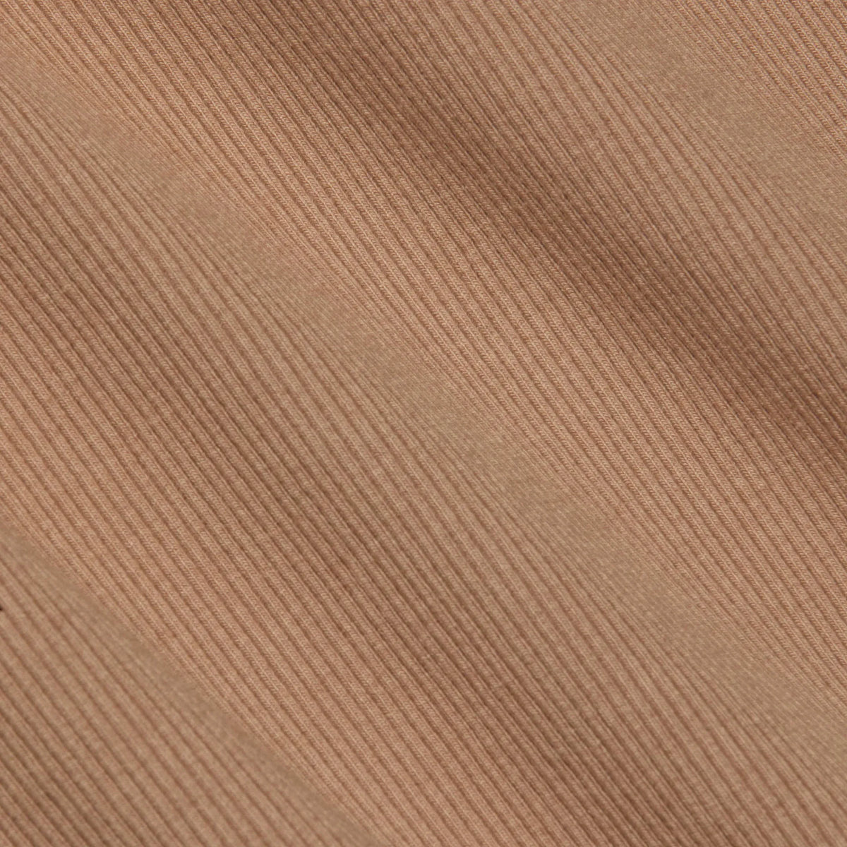 Cinnamon Swirl