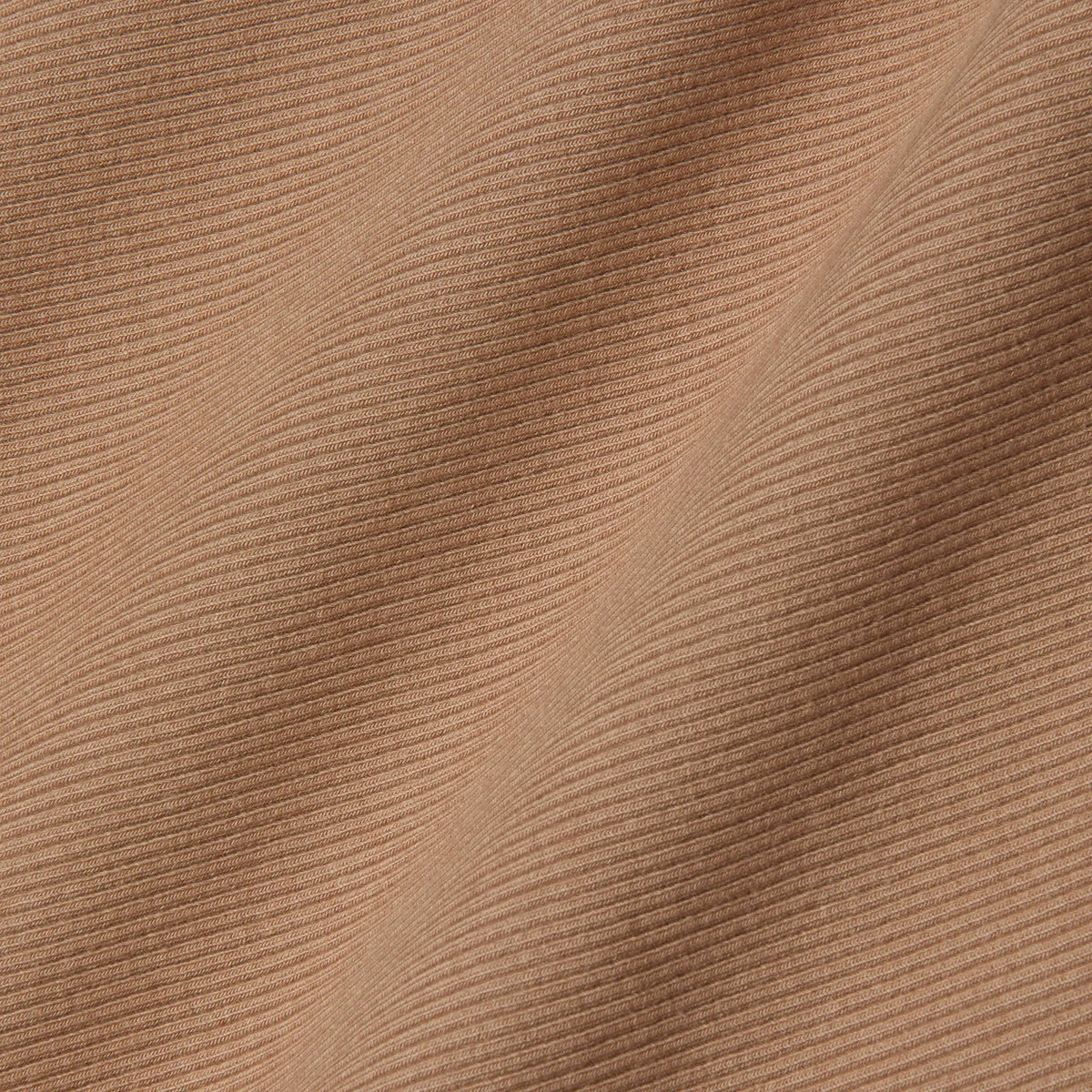 Cinnamon Swirl