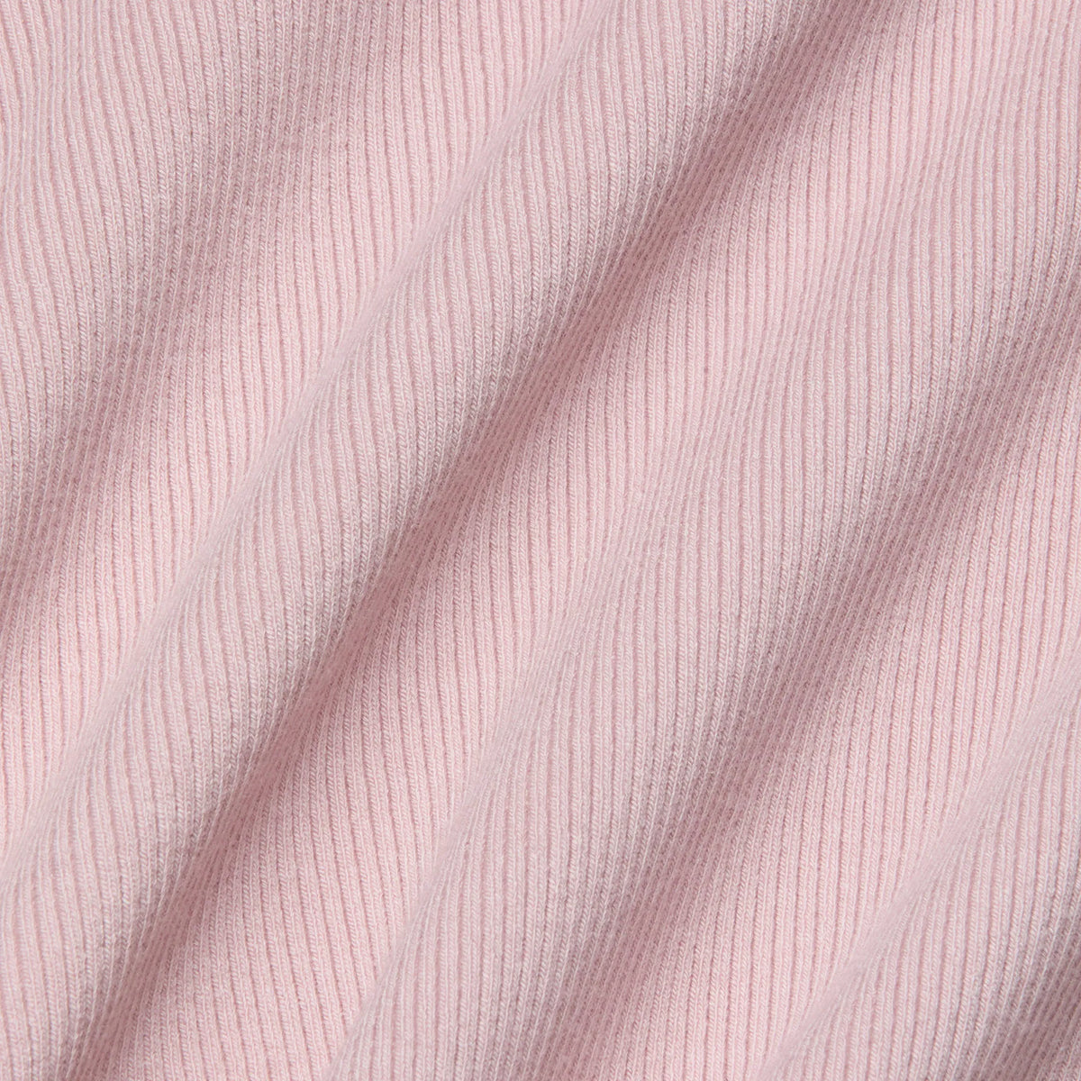 Pale Rose