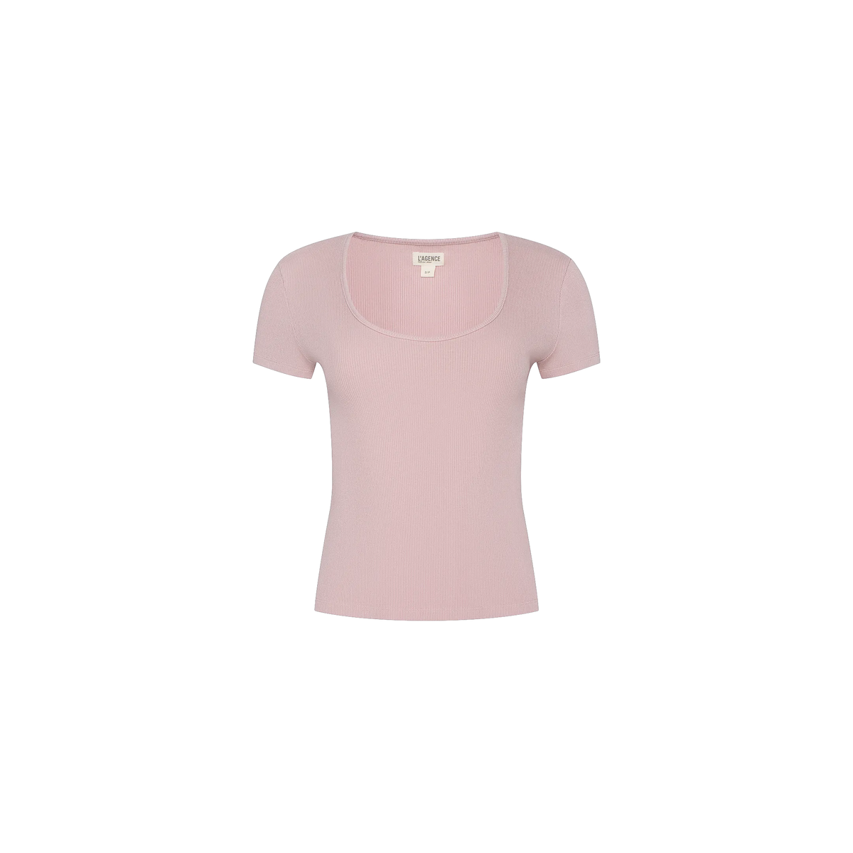 Pale Rose