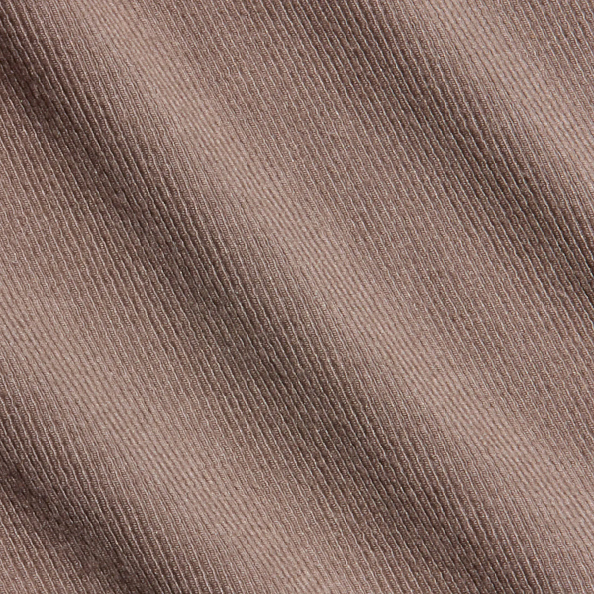 Cardamom