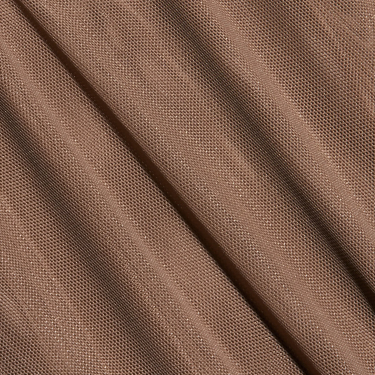 Cardamom