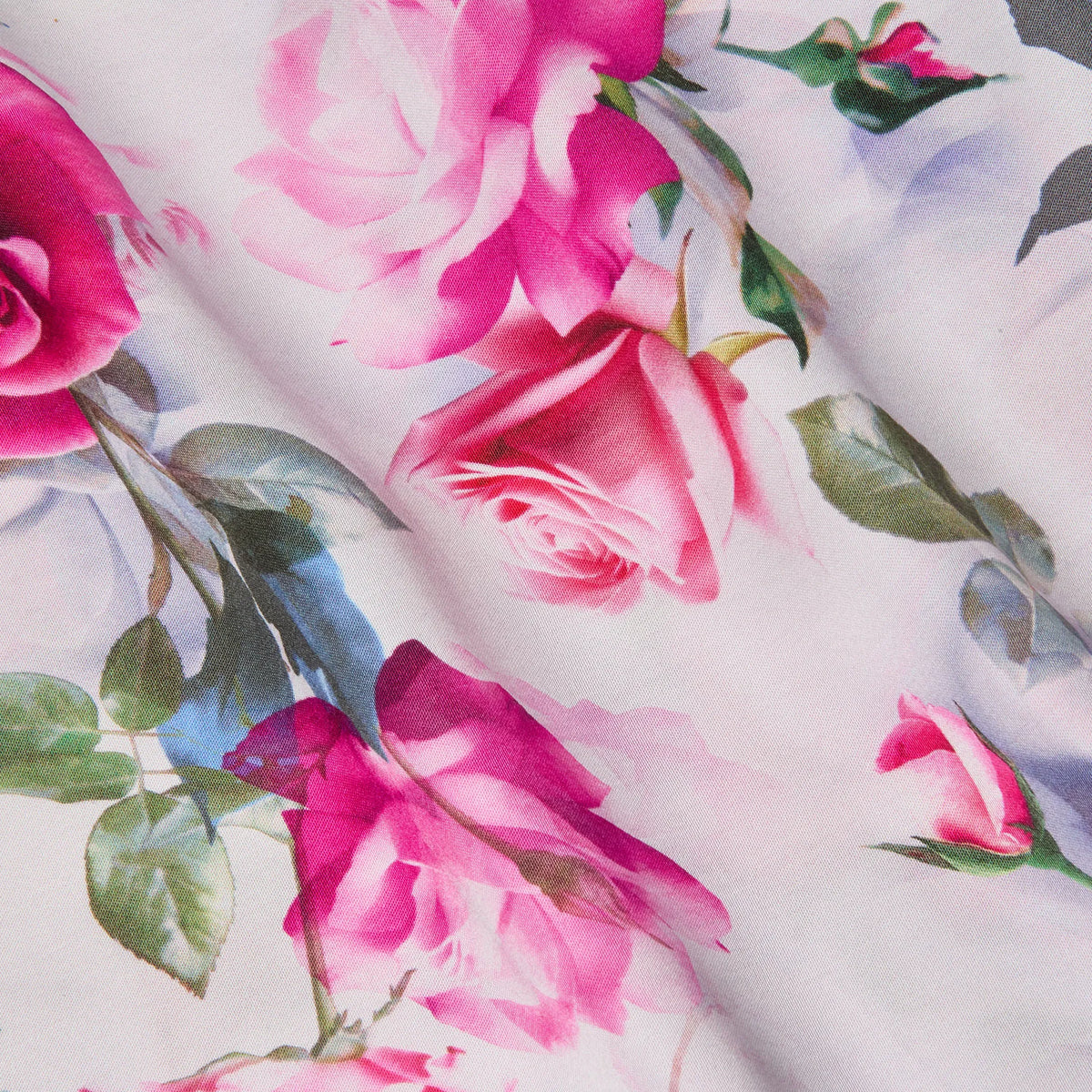 Pink Multi Water Rose