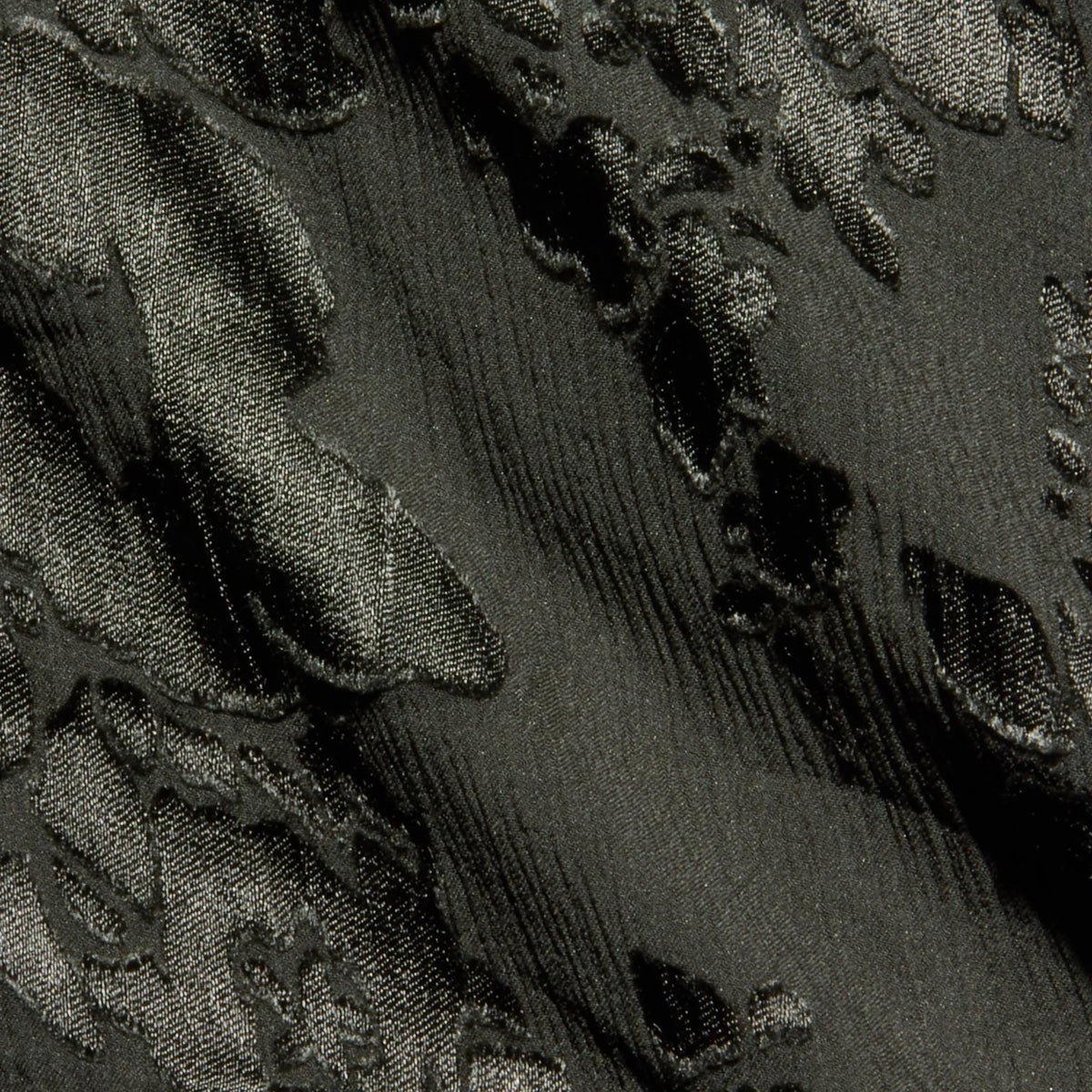 Ash Olive
