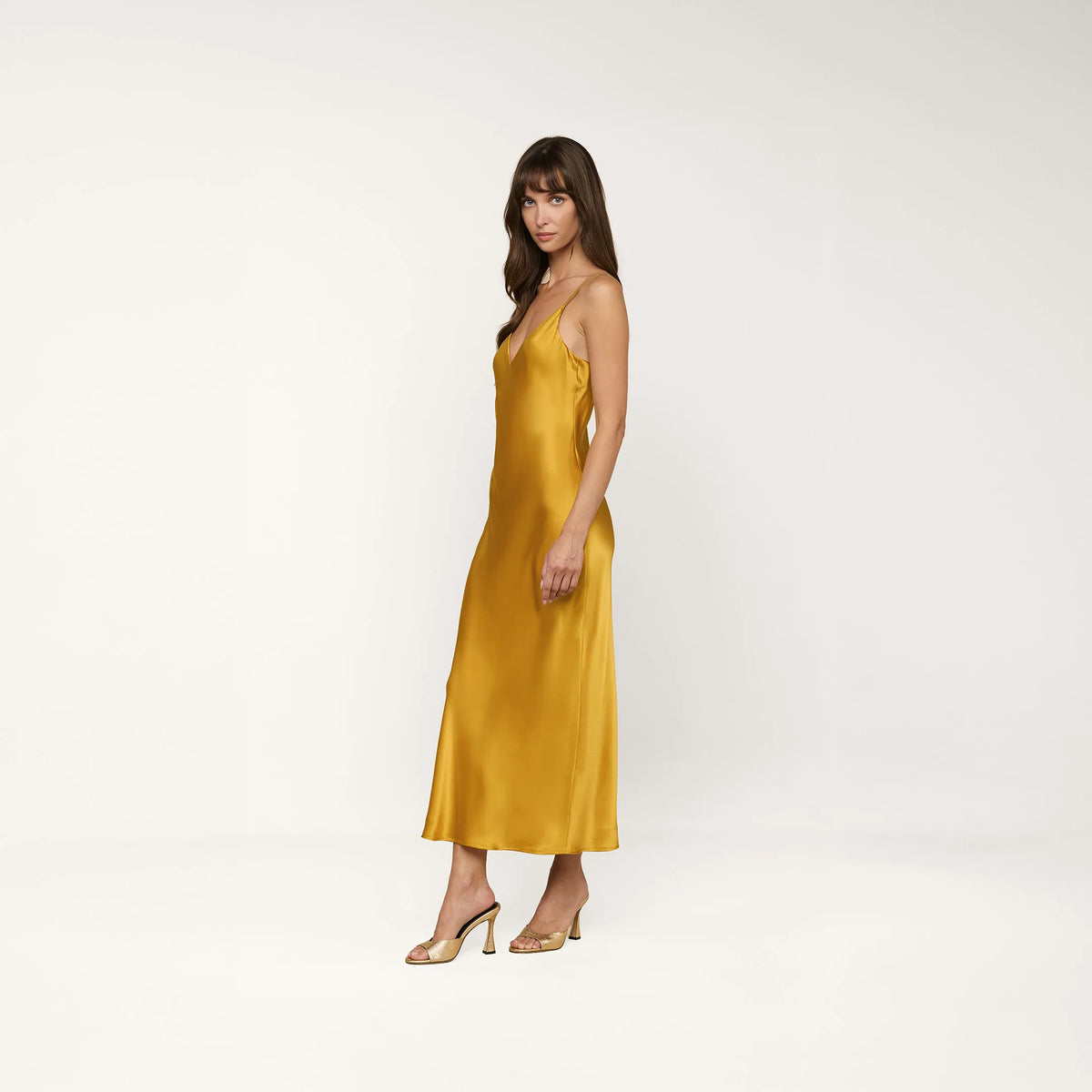 Golden Spice
