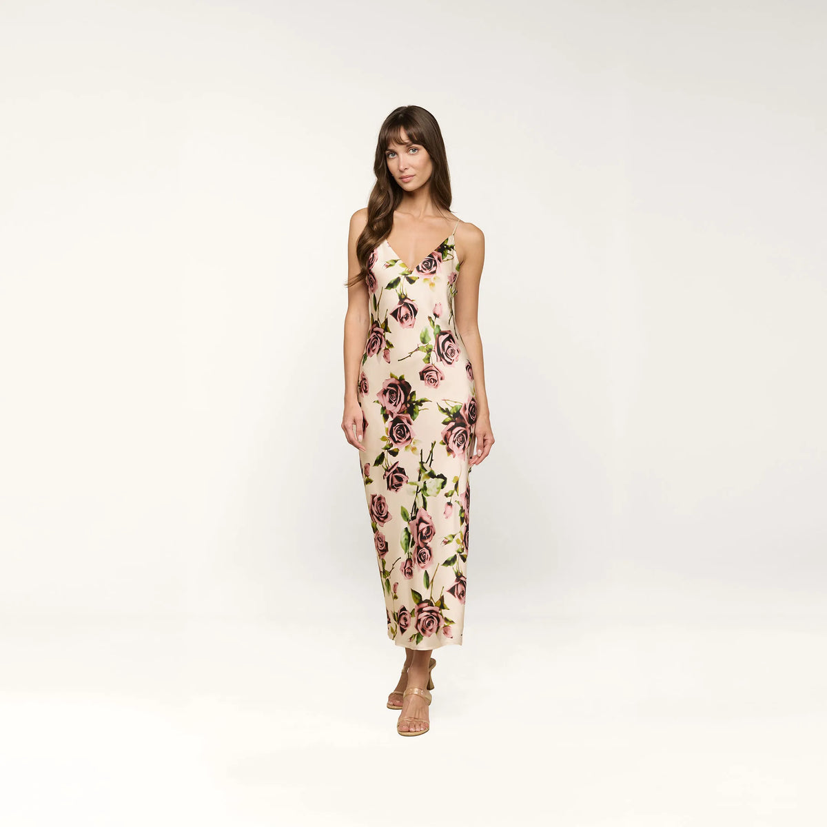 Ecru/Mauve Romantic Rose
