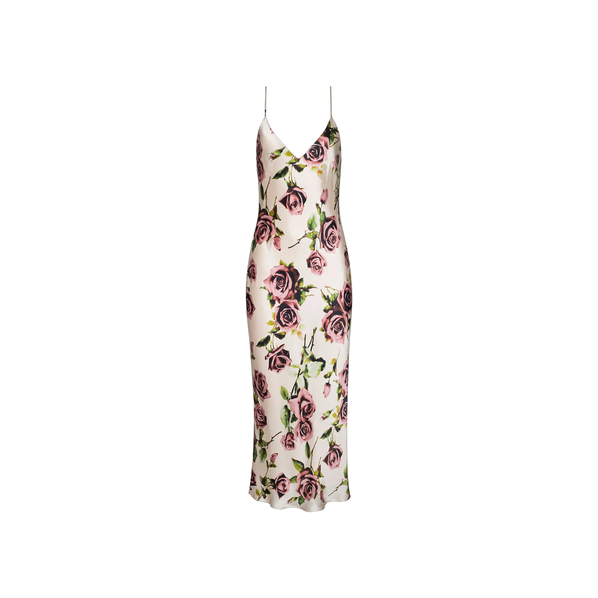 Ecru/Mauve Romantic Rose