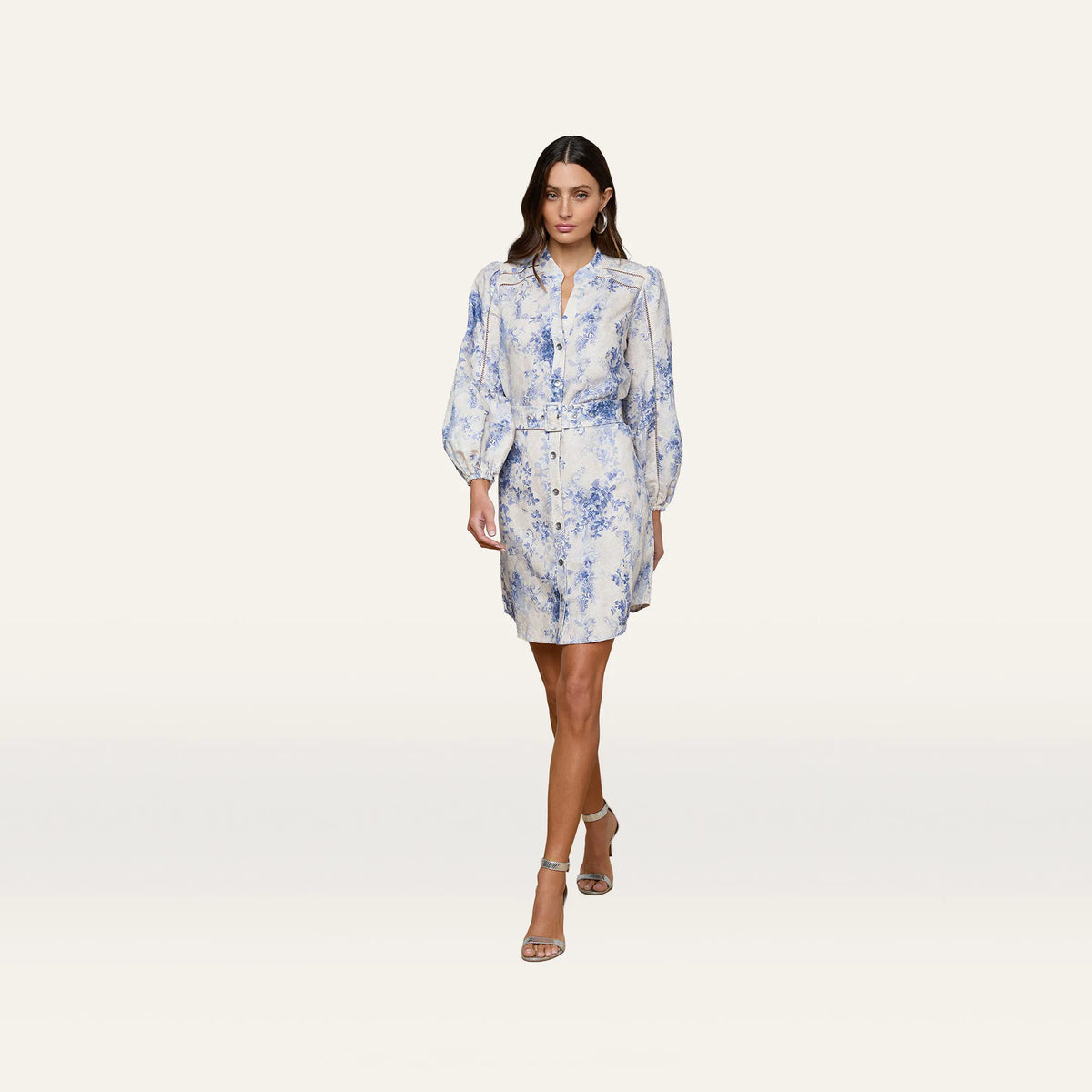 Ivory/Blue Watercolor Lace Paisley