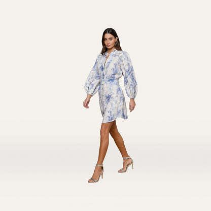 Ivory/Blue Watercolor Lace Paisley