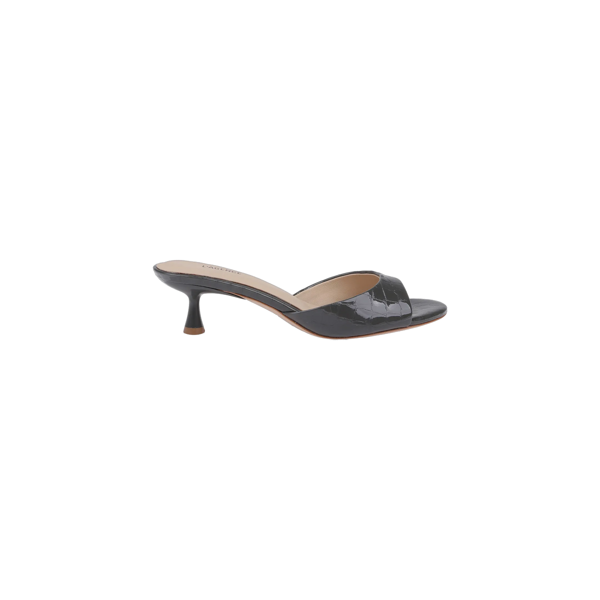 Stone Croco