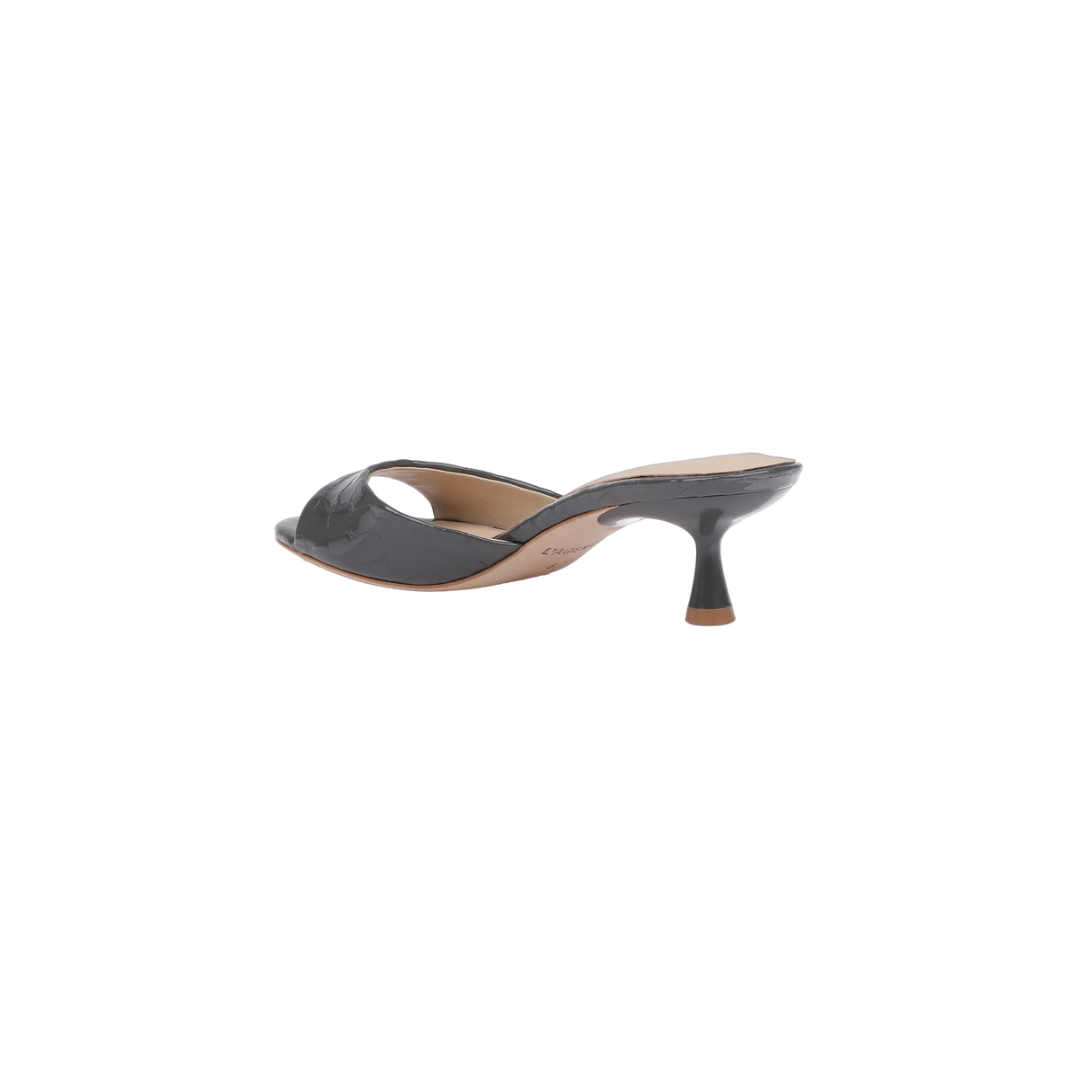 Stone Croco