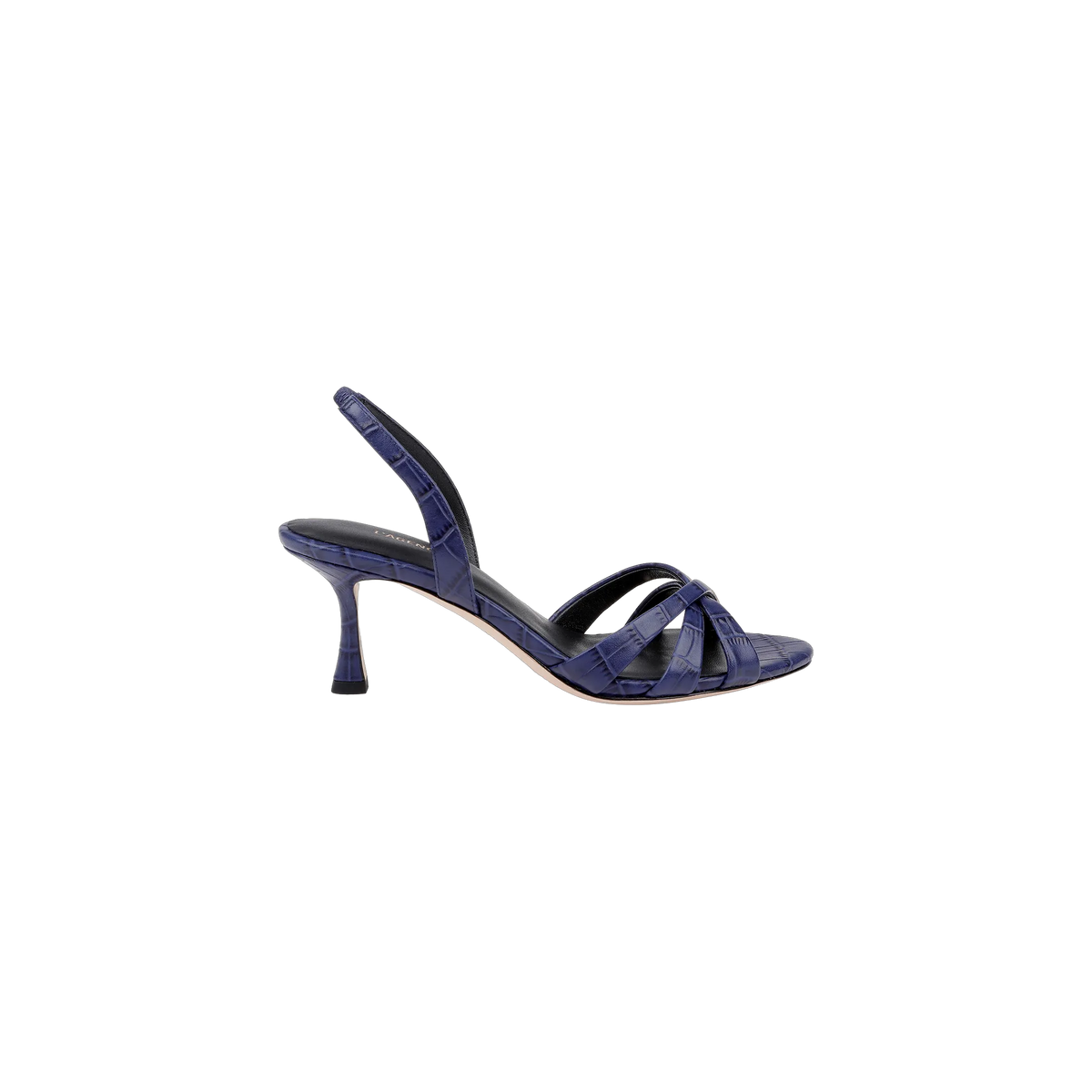 Midnight Croco