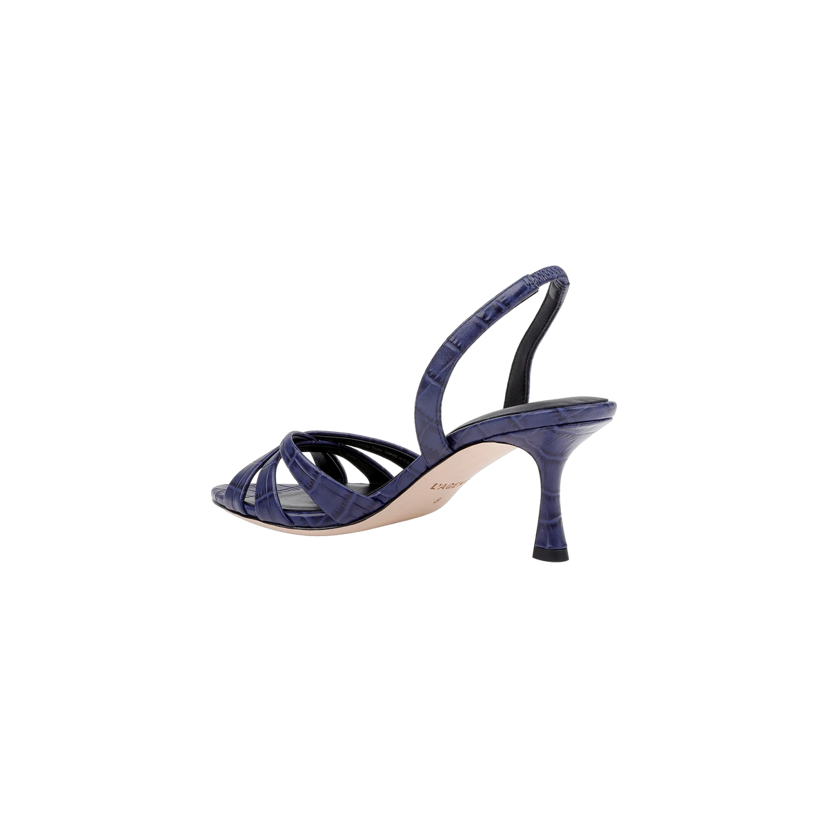 Midnight Croco