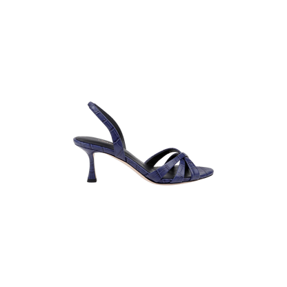 Midnight Croco