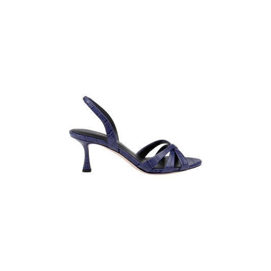 Midnight Croco