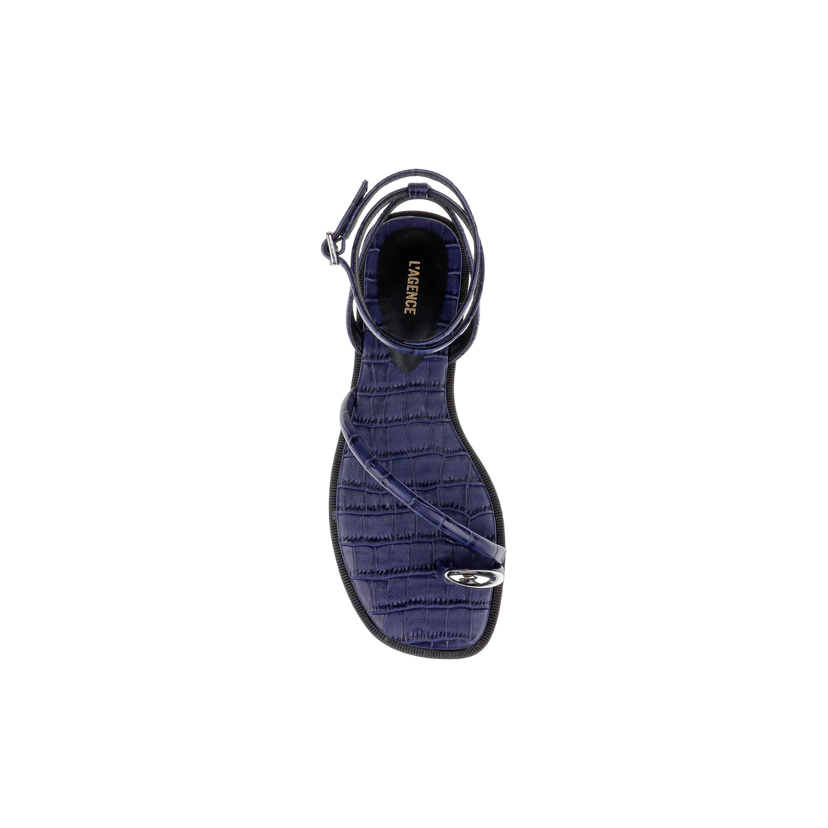 Midnight Croco