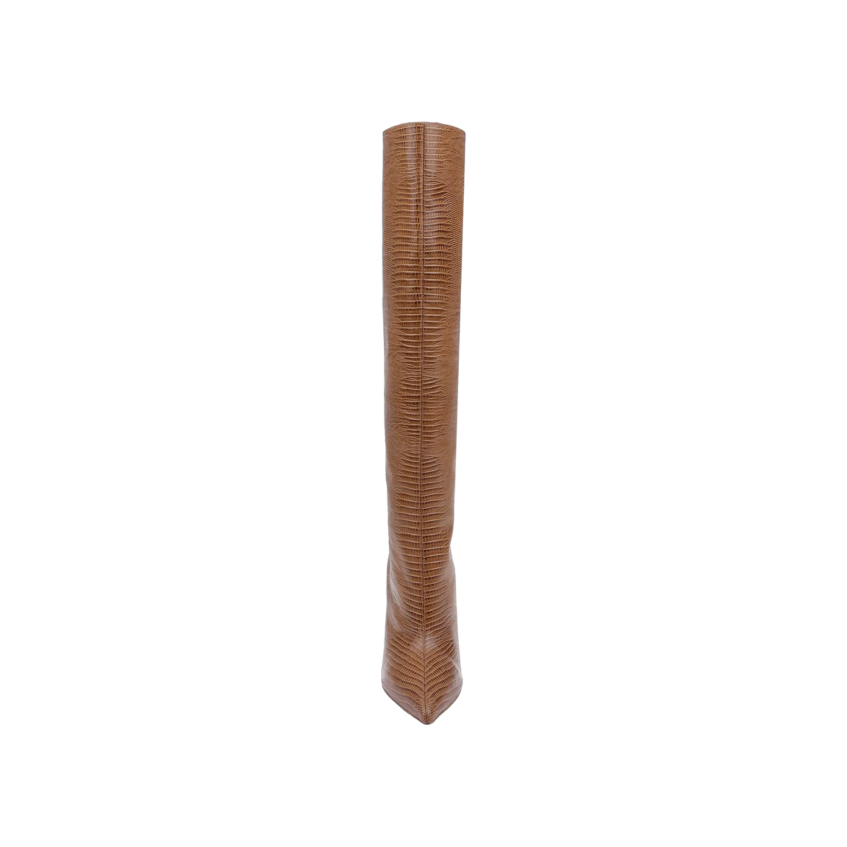 Dark Tan Lizard