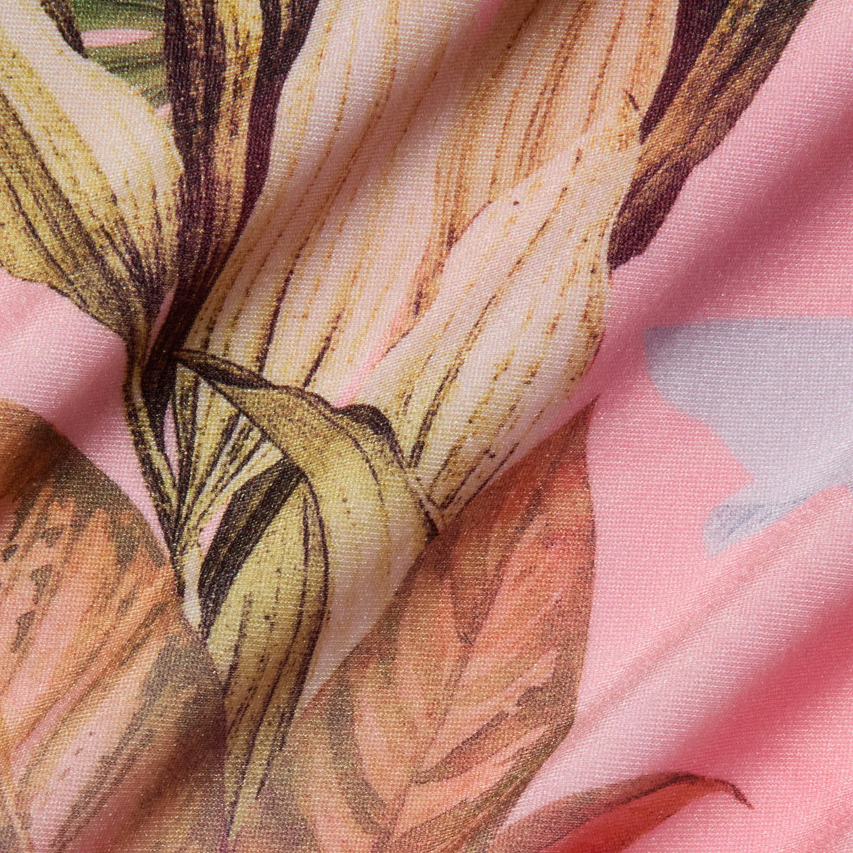 Pink Multi Colorful Palm