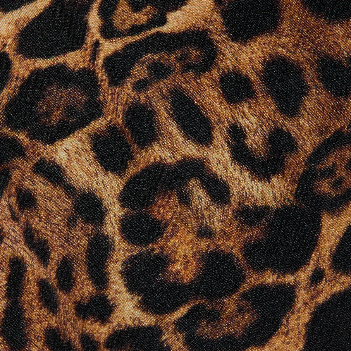Brown Multi Patch Leopard