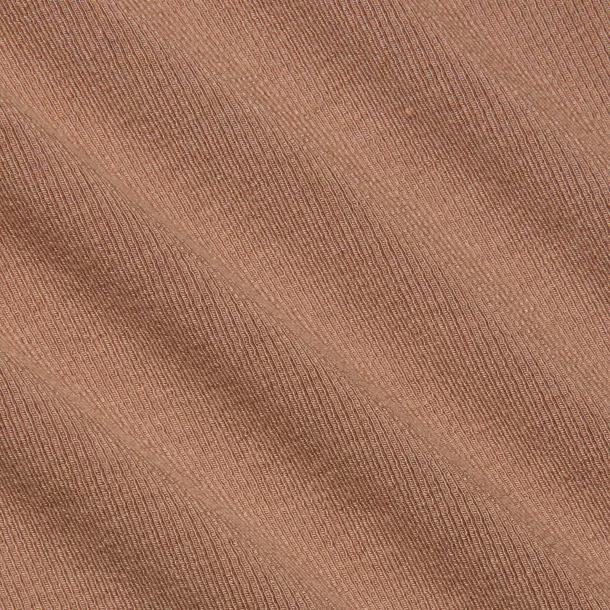Cinnamon Swirl