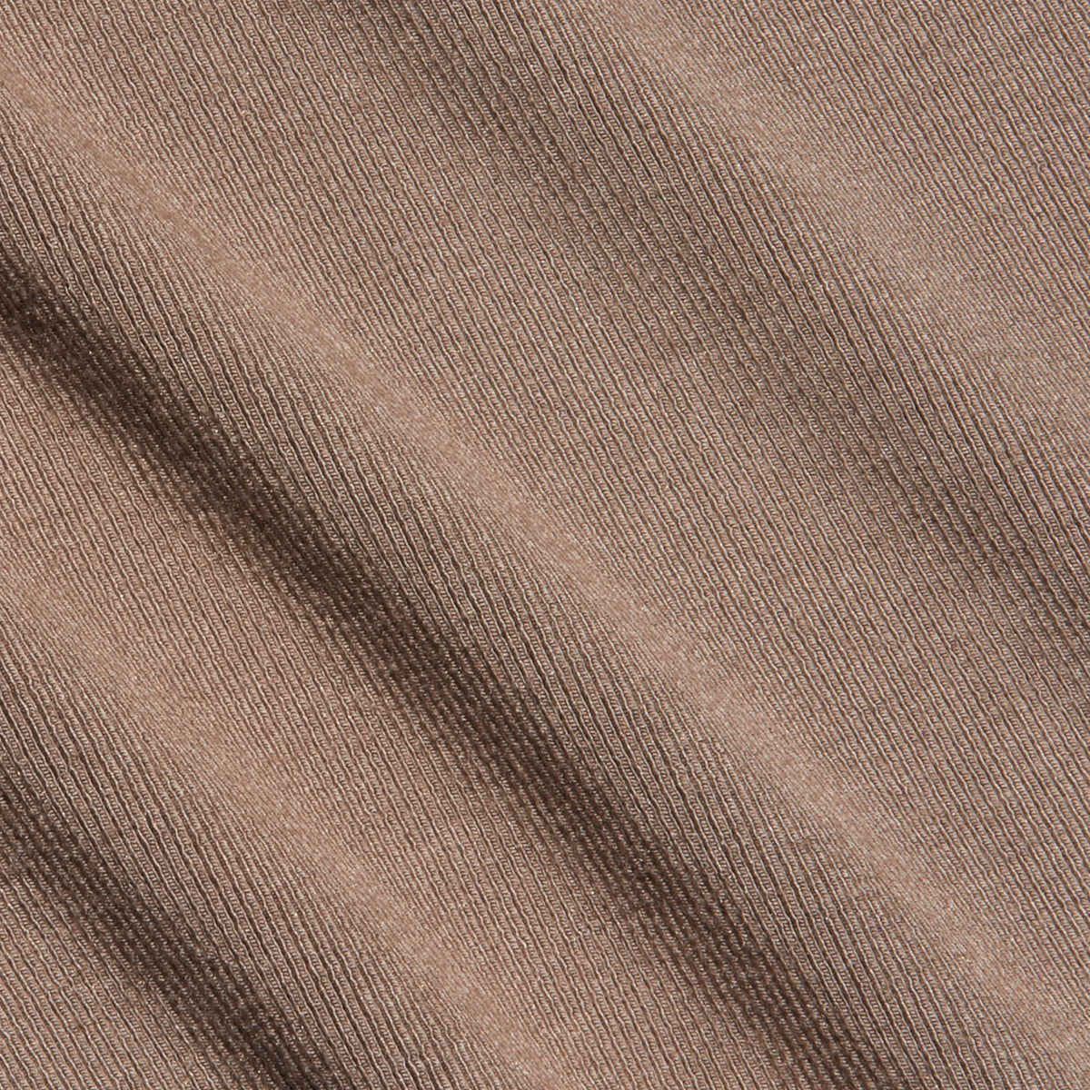 Cardamom